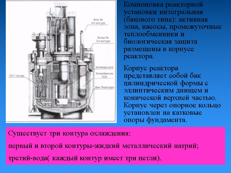 Компоновка реакторной установки интегральная (бакового типа): активная зона, насосы, промежуточные теплообменники и биологическая защита